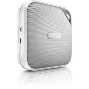 BT2500W wireless portable speaker
