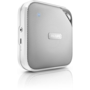 BT2500W wireless portable speaker