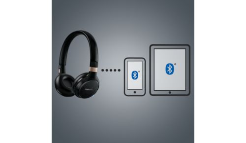 Met multipoint kunt u op twee apparaten tegelijk muziek afspelen en gesprekken voeren