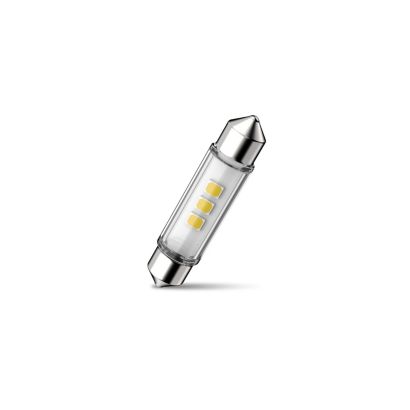 Enjoy lasting brightness