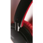 Por amor a la música