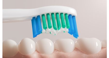 Élimine jusqu'à 2 fois plus de plaque dentaire qu'une brosse à dents manuelle