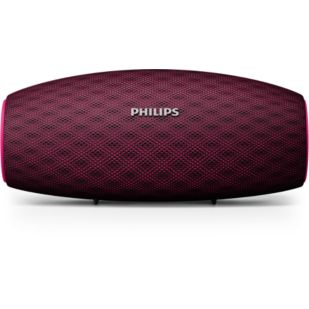 BT6900P wireless portable speaker