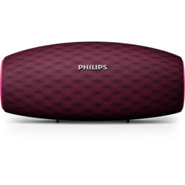 BT6900P wireless portable speaker