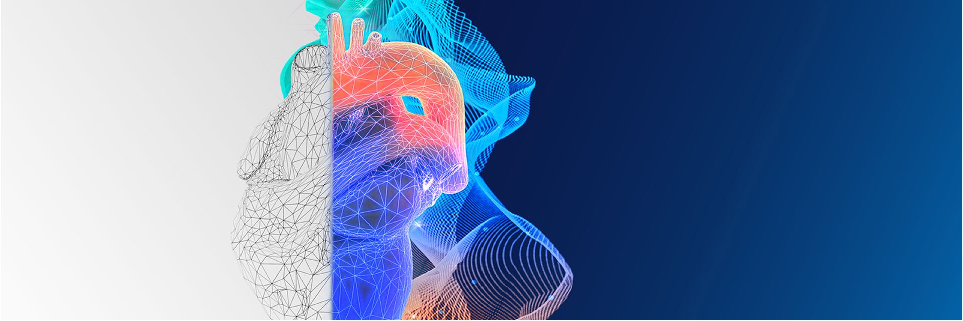 anatomical heart graphic