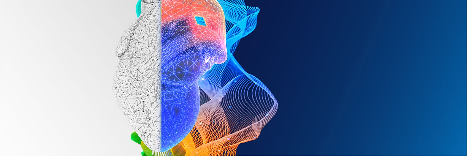 Ultrasound Transcend animation