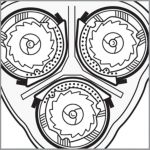 Raseerige naha lähedalt
