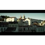 Trims body hair, protects skin