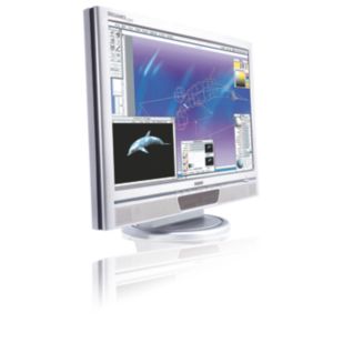 Brilliance LCD widescreen monitor