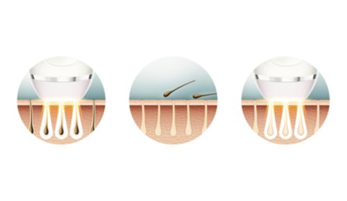 Disfruta de una piel suave a diario