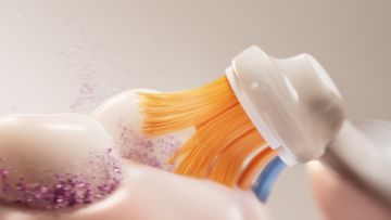 Our best plaque removal