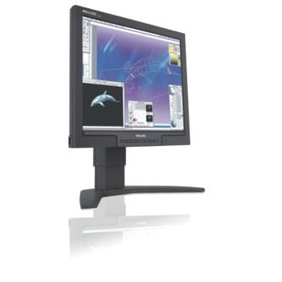 Brilliance 170P7EB LCD monitor