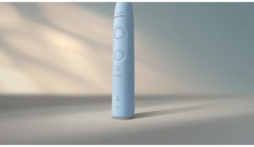 Wählen Sie Ihr ideales Putzerlebnis