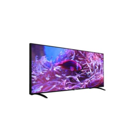 65HFL2899S/12  Professional TV