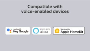 Works with popular voice assistants