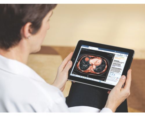 Personne regardant une tablette