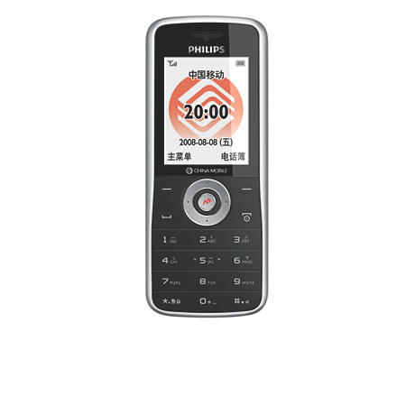 CTE100SLV/40  Mobile Phone