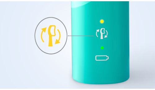 So wissen Sie immer, wann Sie die Bürstenköpfe austauschen sollten