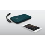 Muzika niekada nenutyla