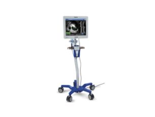 Core M2 Sistema vascolare