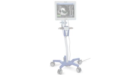 Core M2 Vascular system