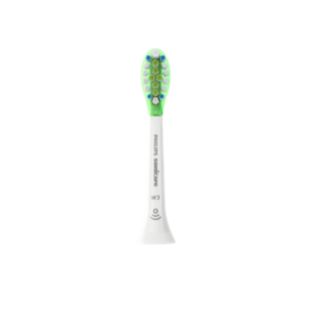 Sonicare W3 Premium White Standard sonic toothbrush heads