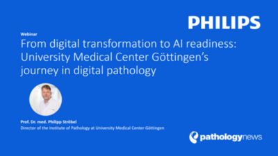 Pathologist reviewing digital pathology images on workstation