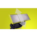 Trim, edge & shave any length of hair