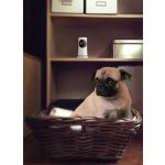 Watch over your home from your smartphone