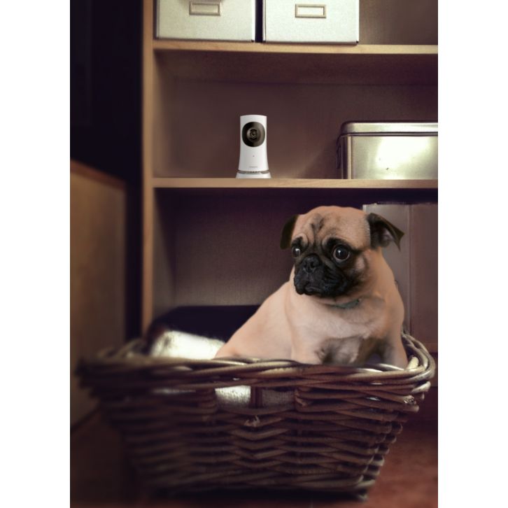 Watch over your home from your smartphone