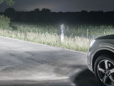 La luce di alta qualità migliora la visibilità su strada