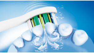 Sonicare dynamic cleaning action drives fluid between teeth