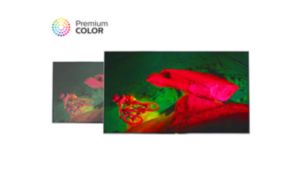 A Premium Color lenyűgöző színkiemelést biztosít