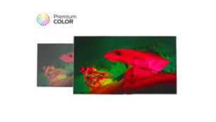 Premium Color offre un incredibile potenziamento dei colori