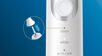 Brush heads select the optimal mode and intensity