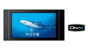 DivX with Chinese subtitles