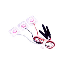 Enlarged view of picture