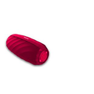 Wireless portable speaker