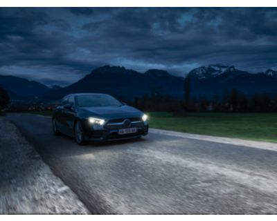 Conformitate cu standardele auto
