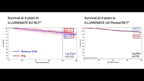 Stellarex DCB has shown a consistent lack of statistical difference in mortality compared with PTA at each annual follow-up through 4 years across two randomized controlled trials⁹,¹⁷.