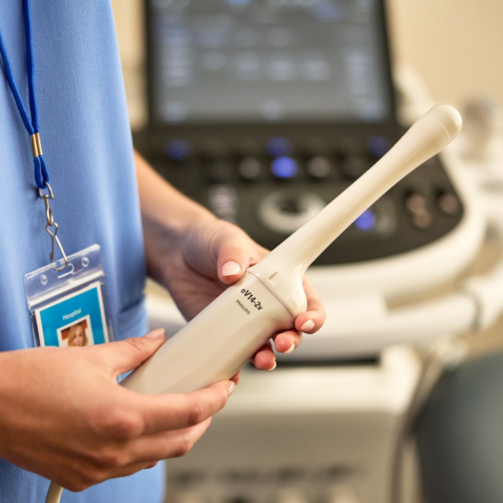 Clinician holding the eV14-2v lightweight endovaginal transducer
