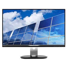 Brilliance Monitor LCD cu SmartImage