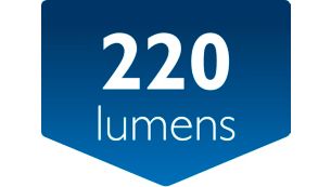 Flujo luminoso: 220 lúmenes