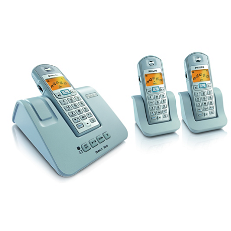 DECT5153S/02
