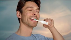 Guided brushing sessions