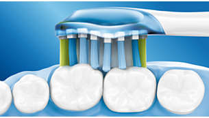 歯に触れる表面積が約 4 倍*、簡単にしっかり磨ける