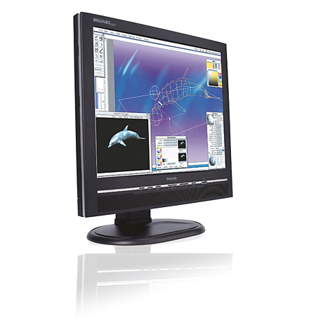 200P6IB/75 Brilliance LCD monitor