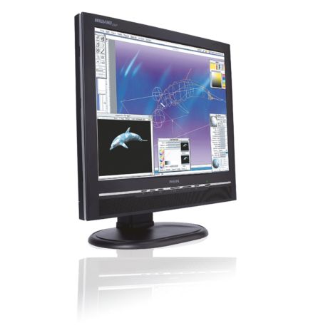 200P6IB/75  Brilliance 200P6IB LCD monitor