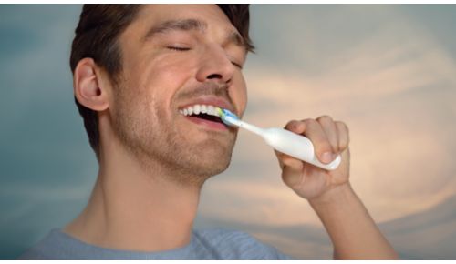 Guided brushing sessions