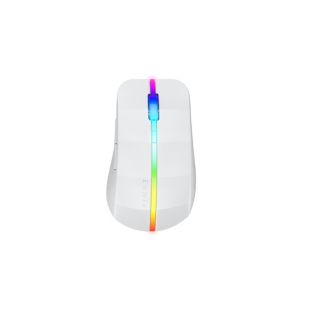 Evnia 7000 Ambiglow가 적용된 게이밍 마우스